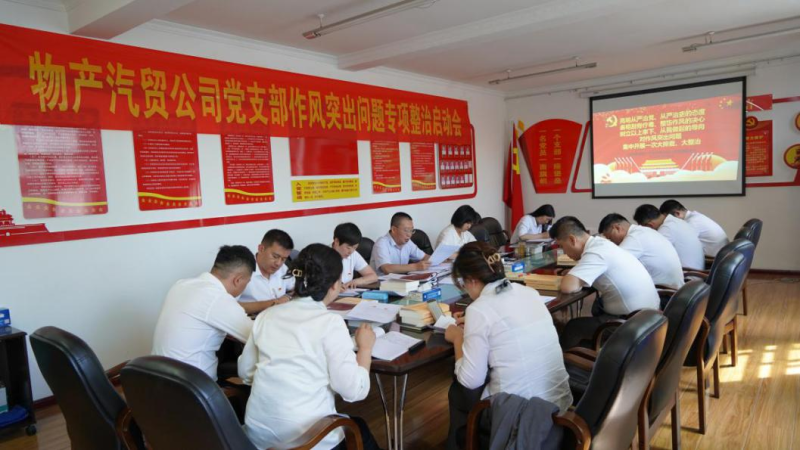 物產(chǎn)汽貿(mào)公司黨支部 召開作風(fēng)突出問題專項(xiàng)整治啟動會
