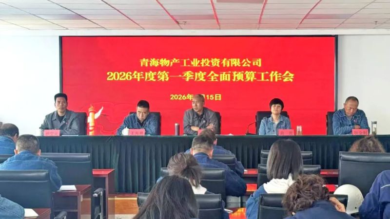 工投公司召開一季度預(yù)算執(zhí)行情況分析會