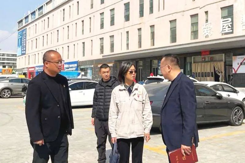 集團(tuán)黨委書記、董事長劉玲赴現(xiàn)代物流公司調(diào)研