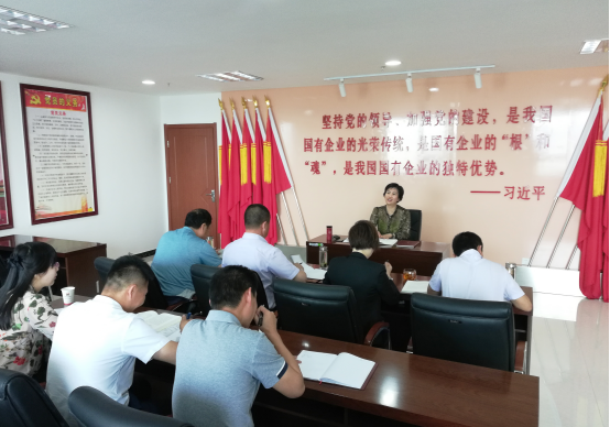 集團(tuán)紀(jì)委書記謝燕同志在集團(tuán)機關(guān)黨支部作黨課